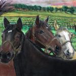 Horses in the Vineyard