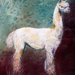 A LLama named Cougar
